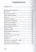 Жемчужины мудрости. Исцеляющие притчи - 2