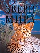 Звери мира - 0