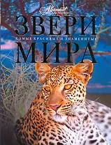 Звери мира