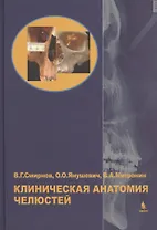 Клиническая анатомия челюстей