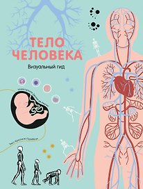 Тело человека. Визуальный гид