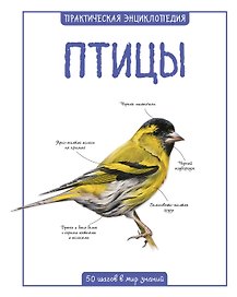 Птицы