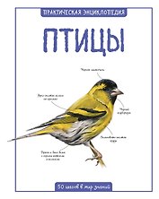 Птицы