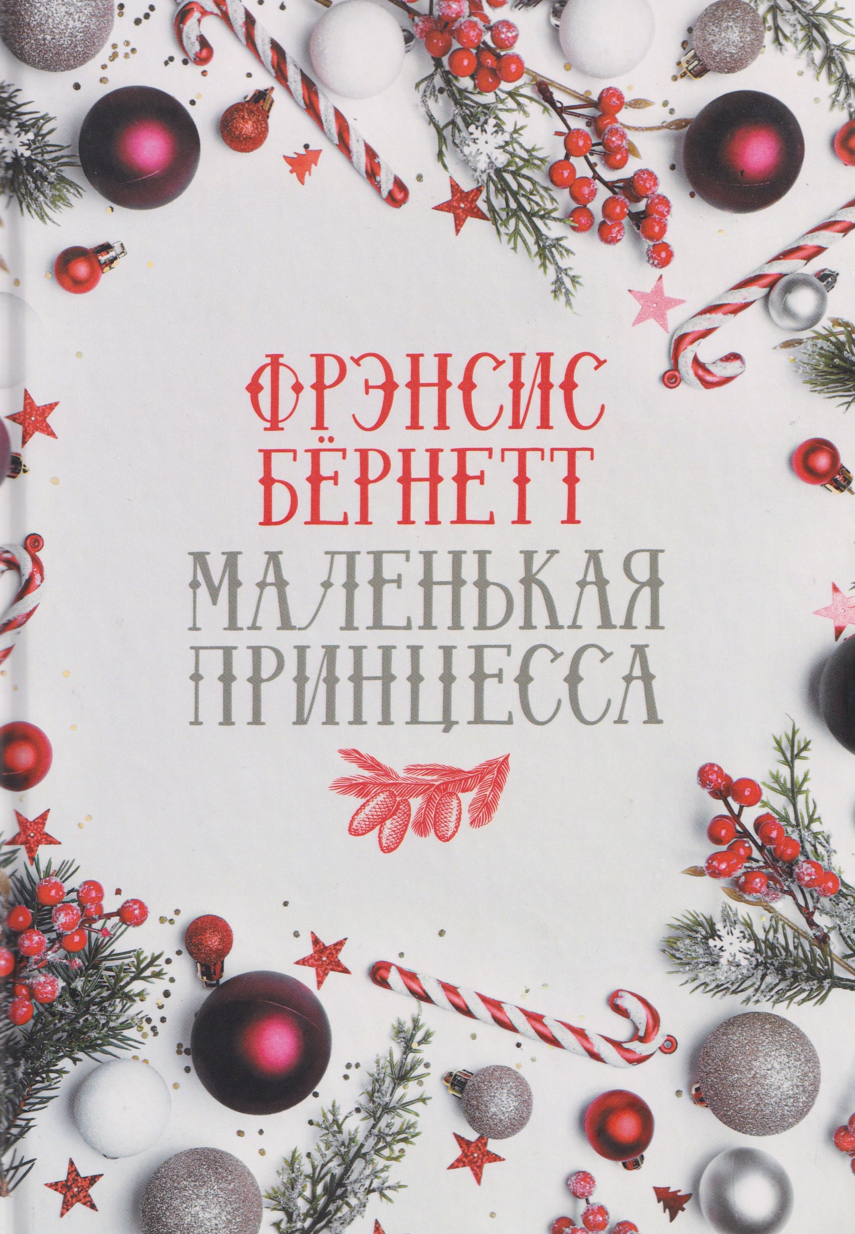 

Маленькая принцесса: роман