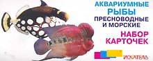 Аквариумные рыбы Пресноводные и морские  Набор карточек