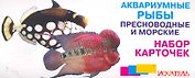 Аквариумные рыбы Пресноводные и морские  Набор карточек