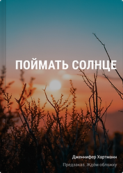 Поймать солнце