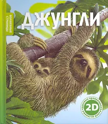 Джунгли