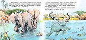 Приключения слонёнка - 1