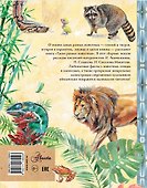 Такие разные животные - 1
