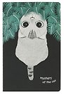 Тетрадь в клетку Kairui, Mystery of the cat, 32 листа, в ассортименте