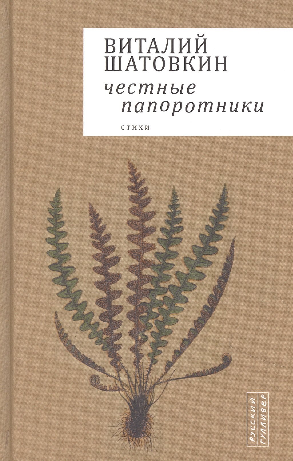 

Честные папоротники. Стихи