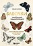 Бабочки! Маленькая энциклопедия. Обаятельная книжка о красивом существе - 0