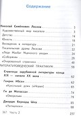 Литература. 10 класс. Учебник. В 5-ти частях. Часть 5. Базовый уровень (для обучающихся с нарушением зрения) - 1