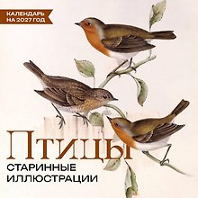 Птицы. Старинные иллюстрации. Календарь на 2027 год