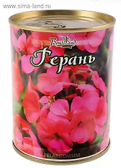 Цветок в банке "Герань" (410435)