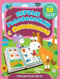Первые головоломки с ПониМашкой