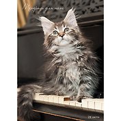 Тетрадь для нот Unnika, "Любимый аккорд (кот)", А4, 24 листа