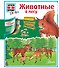 Животные в лесу: книга с окошками - 0