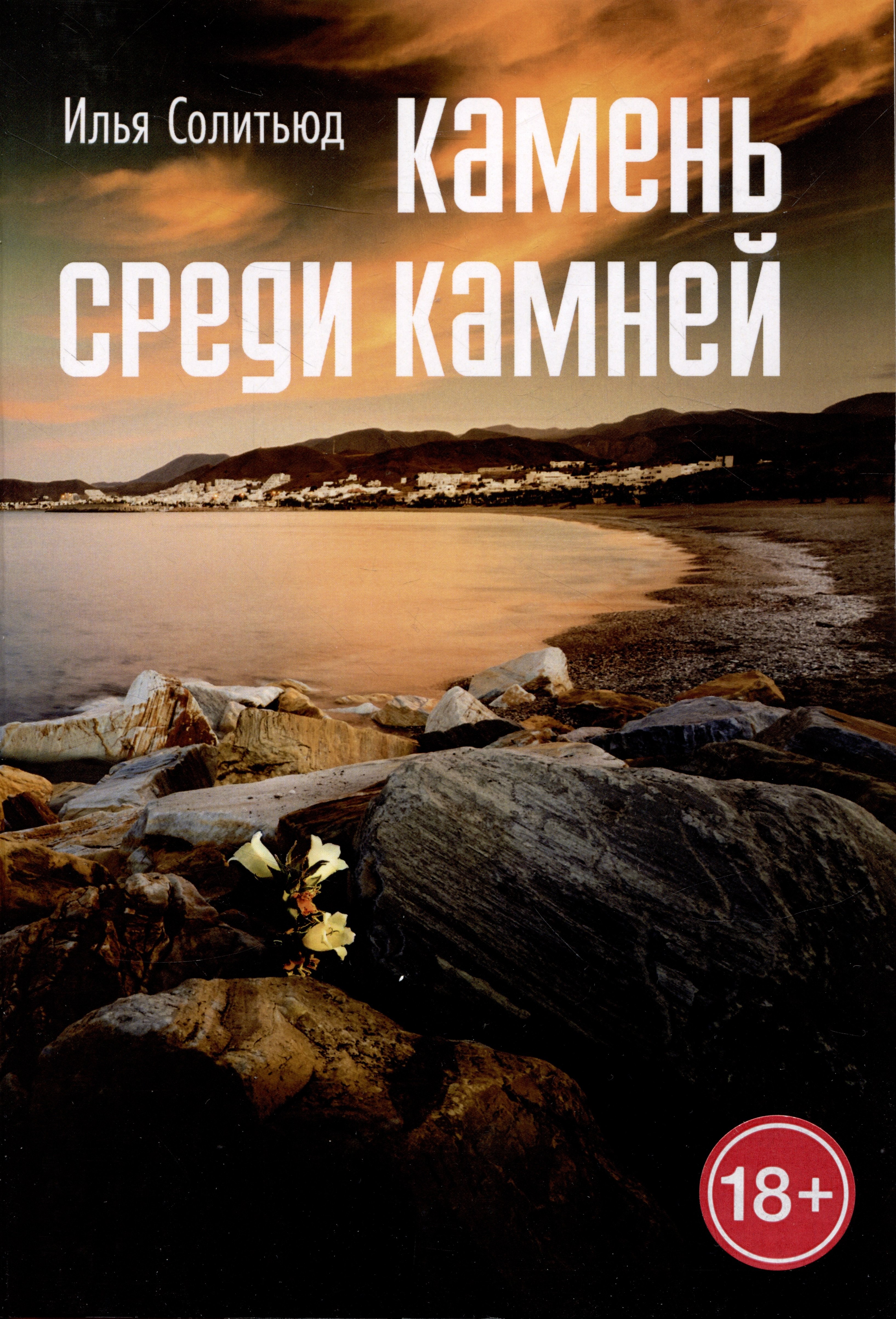 

Камень среди камней