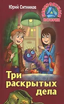 Три раскрытых дела