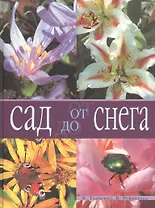 Сад от снега до снега