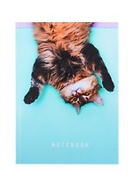 Книга для записей А5 80л кл. "Кошачье настроение" 7БЦ, глянц.ламинация
