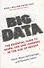 Big Data. The Essential Guide to Work, Life and Learning in the Age of Insight - 0