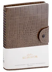 Ежедневник недатированный «Alligator» А5, серый, 96 листов, экокожа, InFolio