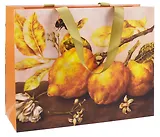 Пакет А4 28*36*11 "ART. Гарцони Д. Лимоны" горизонт, лам.картон, Schiller