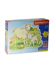 Пазлы 12 MAXI B-120079 Барашки (47х31см) (3+) (коробка) (Castorland)