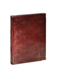 Книга для записей А4 160л кл. "Iguana" иск.кожа, поролон, бордовый, мет.уголки, тонир.блок, золот.срез, ляссе, Listoff