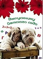 Папка адресная «Выпускнику детского сада», А5, Феникс+