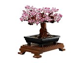 LEGO Botanical Collection: Бонсай, 878 деталей (10281) - 1