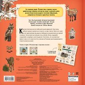 Красная шапочка - 1