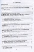 Современные методы организации эксплуатации распределительных электрических сетей напряжением 0,38–20 кВ - 2