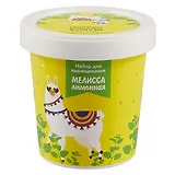 Набор для выращивания Мелисса лимонная (Лама) (НВ2018-11)