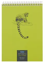 Блокнот 60л.,А5 SketchBook Лемур без линовки, пластиковая обложка на спирали