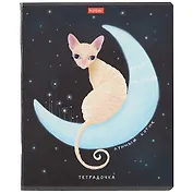 Тетрадь в клетку Hatber, "Звездные мечтатели", 48 листов, в ассортименте