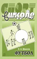 Спорт в школе: футбол