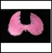 Маскарадные крылья-26888 (48*36см) (перо)