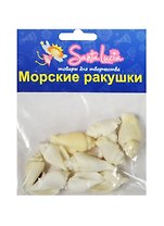 Морские ракушки Ракушка Стромбус урсус белый (2210) (50гр.) (набор для творч.) (3+) (упаковка)