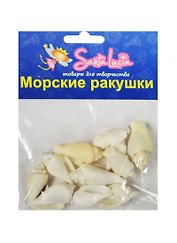 Морские ракушки Ракушка Стромбус урсус белый (2210) (50гр.) (набор для творч.) (3+) (упаковка)