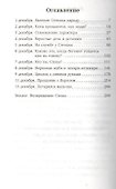 Серый кот по имени Степан. Трогательная история дружбы кота и человека. - 1