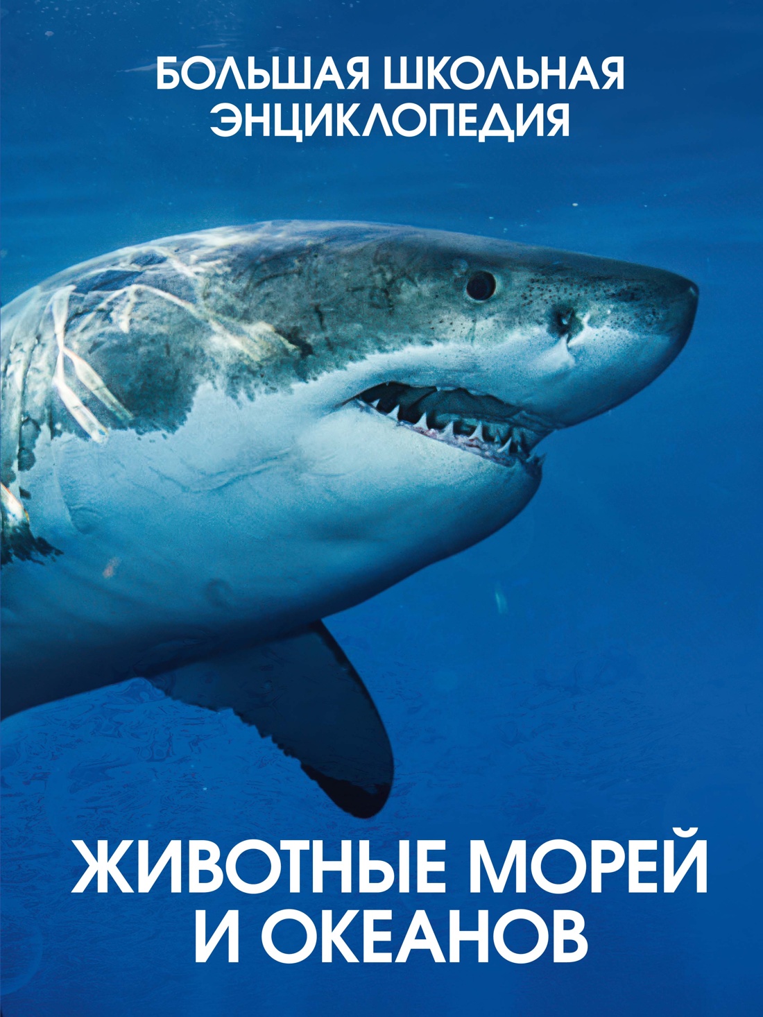 Обложка книги «Животные морей и океанов. Большая школьная энциклопедия»