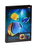 Книга для записей А5 96л кл. "Подводный мир" 7БЦ, Hatber