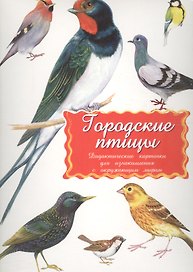 Дидактические карточки Городские птицы