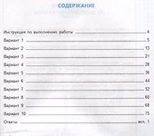 Окружающий мир за курс начальной школы. Всероссийская проверочная работа. Практикум по выполнению типовых заданий - 1