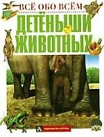 Детеныши животных