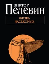 Жизнь насекомых